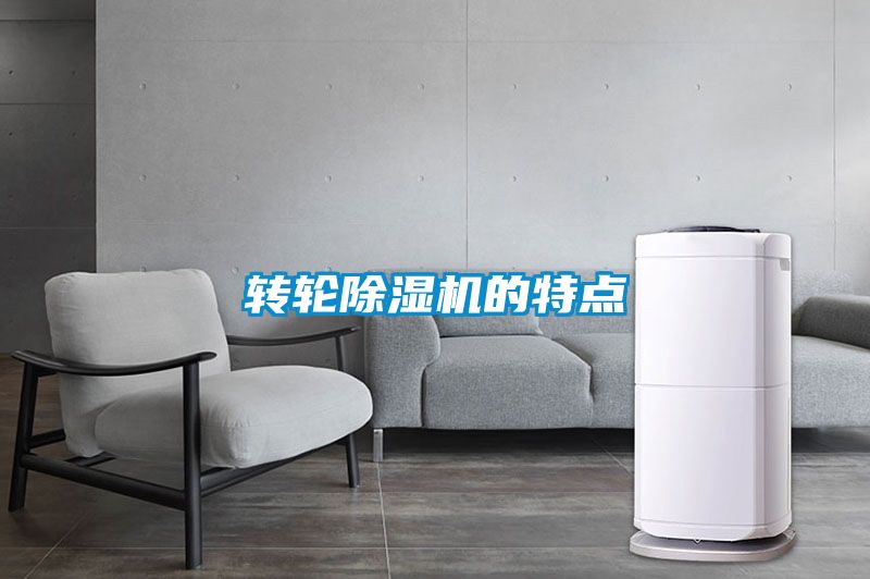 轉(zhuǎn)輪除濕機(jī)的特點(diǎn)