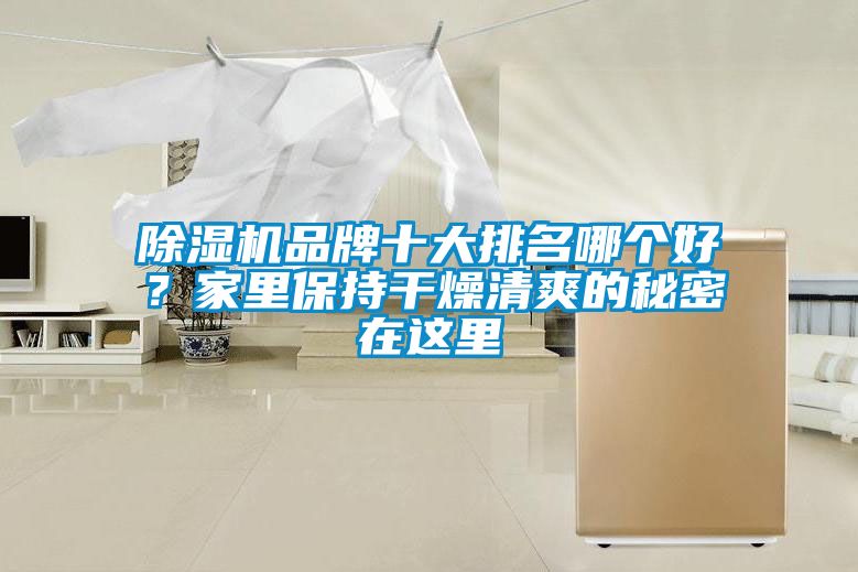 除濕機(jī)品牌十大排名哪個(gè)好？家里保持干燥清爽的秘密在這里