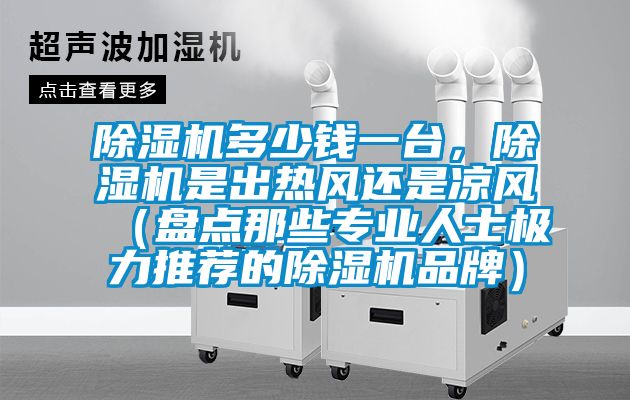 除濕機(jī)多少錢一臺(tái)，除濕機(jī)是出熱風(fēng)還是涼風(fēng)（盤點(diǎn)那些專業(yè)人士極力推薦的除濕機(jī)品牌）
