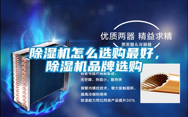 除濕機(jī)怎么選購(gòu)最好，除濕機(jī)品牌選購(gòu)