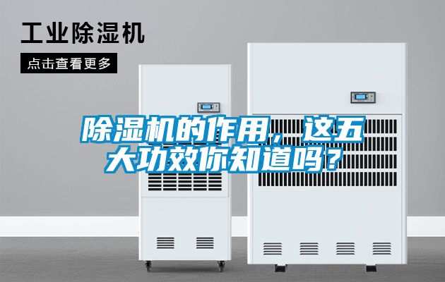 除濕機(jī)的作用，這五大功效你知道嗎？
