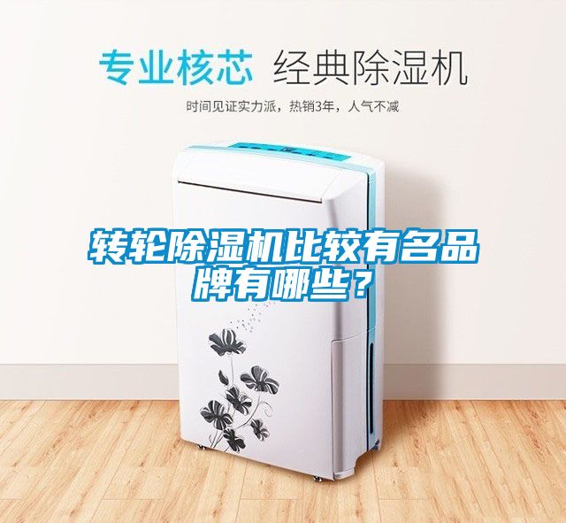 轉(zhuǎn)輪除濕機比較有名品牌有哪些？