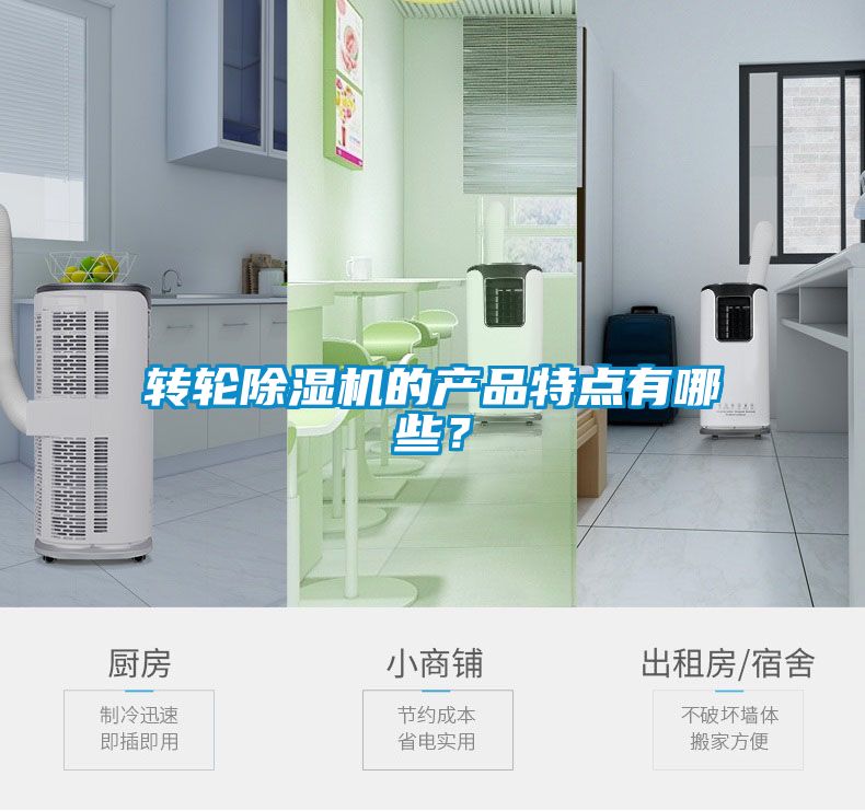 轉輪除濕機的產(chǎn)品特點有哪些？