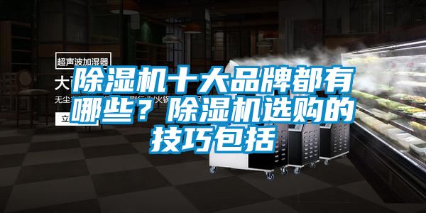 除濕機十大品牌都有哪些？除濕機選購的技巧包括