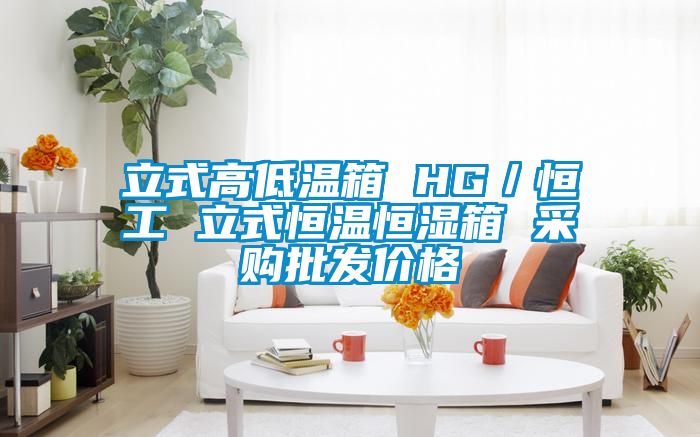 立式高低溫箱 HG／恒工 立式恒溫恒濕箱 采購(gòu)批發(fā)價(jià)格