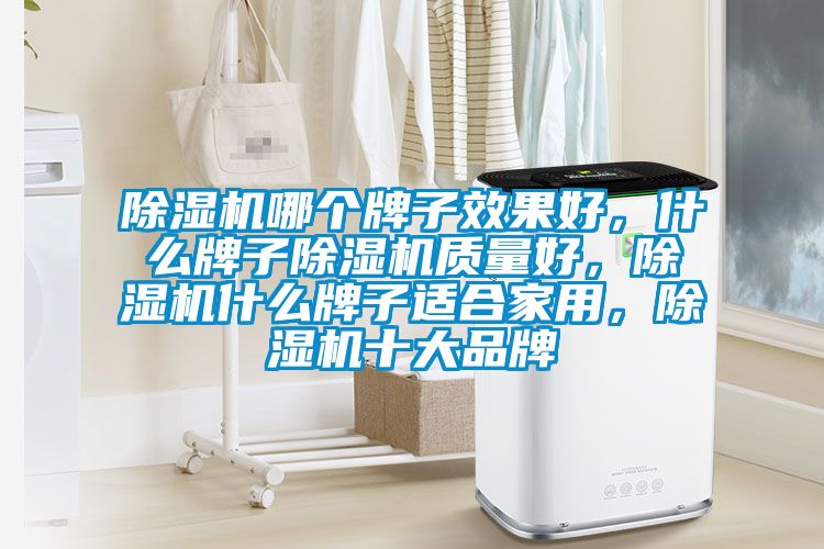 除濕機哪個牌子效果好，什么牌子除濕機質(zhì)量好，除濕機什么牌子適合家用，除濕機十大品牌