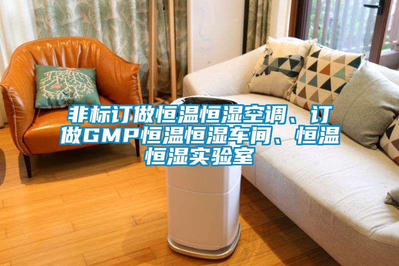 非標訂做恒溫恒濕空調(diào)、訂做GMP恒溫恒濕車間、恒溫恒濕實驗室