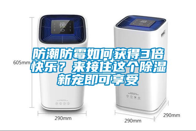 防潮防霉如何獲得3倍快樂？來接住這個(gè)除濕新寵即可享受