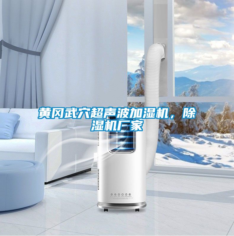 黃岡武穴超聲波加濕機，除濕機廠家