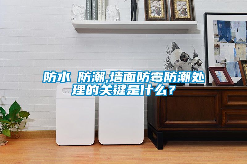 防水≠防潮,墻面防霉防潮處理的關(guān)鍵是什么？
