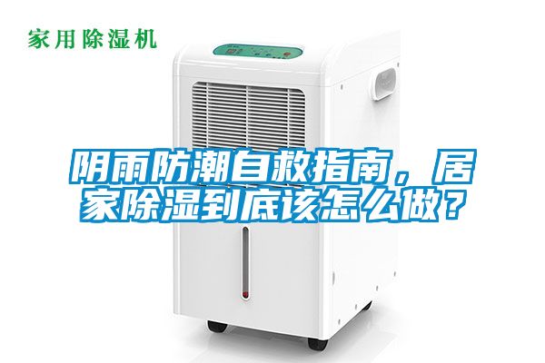陰雨防潮自救指南，居家除濕到底該怎么做？