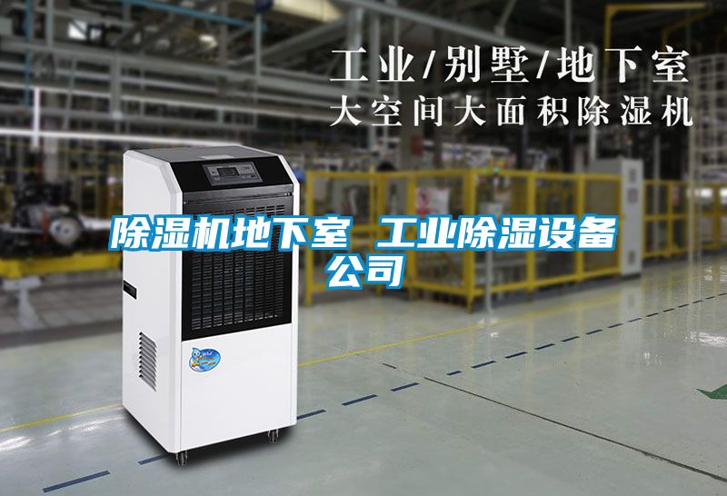 除濕機地下室 工業(yè)除濕設備公司