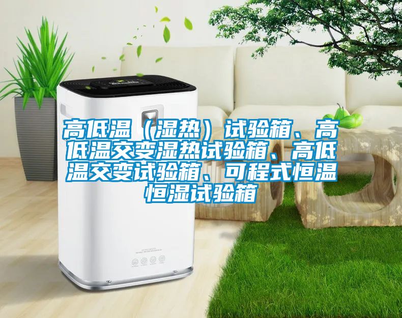 高低溫（濕熱）試驗箱、高低溫交變濕熱試驗箱、高低溫交變試驗箱、可程式恒溫恒濕試驗箱