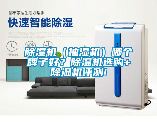 除濕機(jī)（抽濕機(jī)）哪個(gè)牌子好？除濕機(jī)選購+除濕機(jī)評(píng)測!