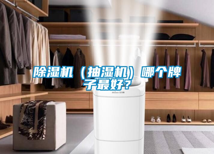 除濕機(jī)（抽濕機(jī)）哪個(gè)牌子最好？