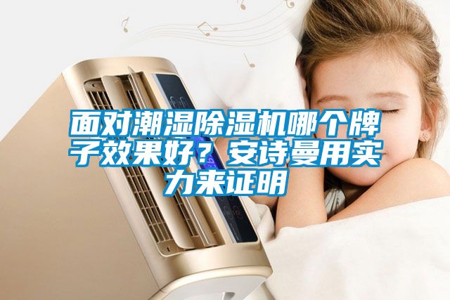 面對(duì)潮濕除濕機(jī)哪個(gè)牌子效果好？安詩曼用實(shí)力來證明