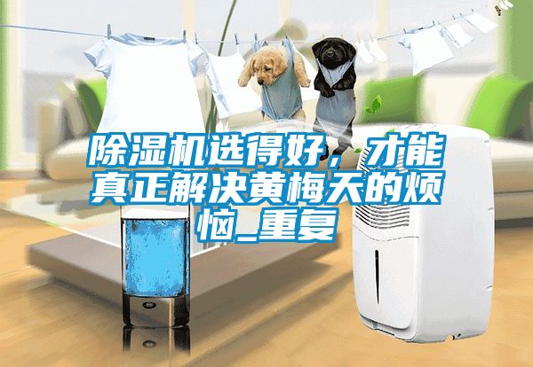 除濕機(jī)選得好，才能真正解決黃梅天的煩惱_重復(fù)