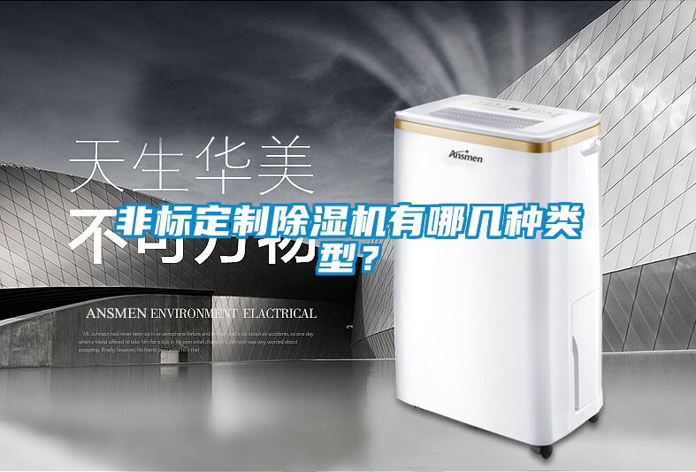 非標(biāo)定制除濕機(jī)有哪幾種類型？