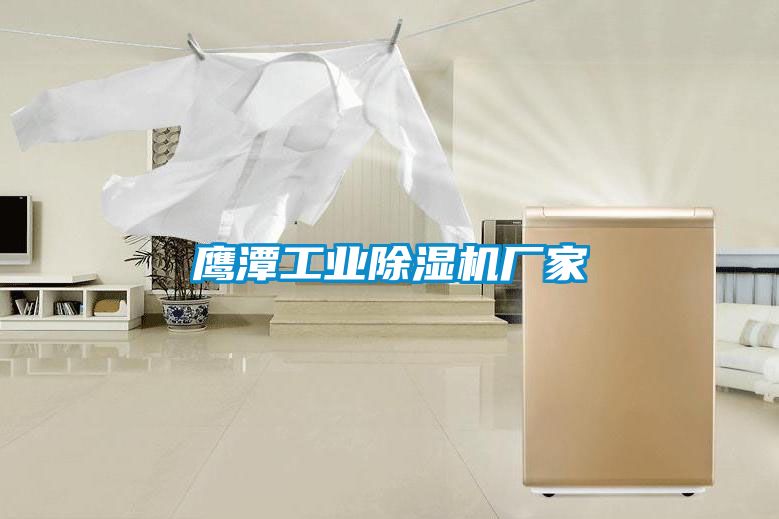 鷹潭工業(yè)除濕機廠家