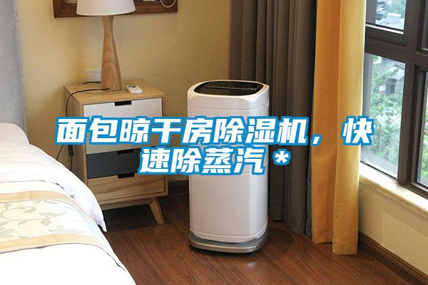 面包晾干房除濕機(jī)，快速除蒸汽＊
