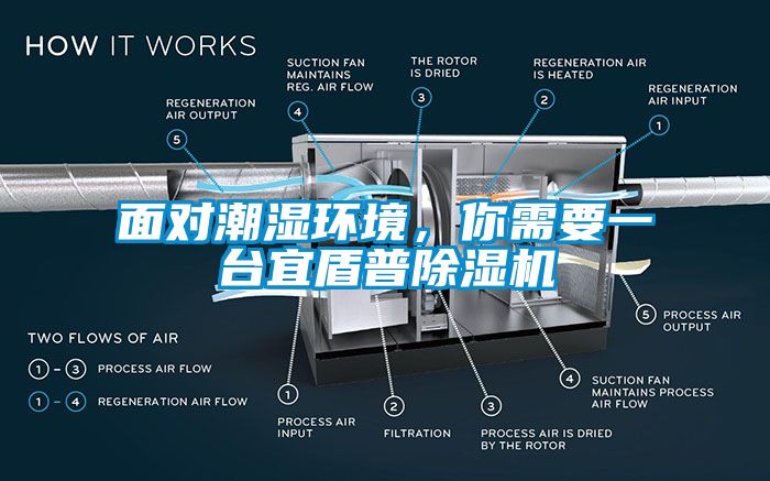 面對(duì)潮濕環(huán)境，你需要一臺(tái)宜盾普除濕機(jī)