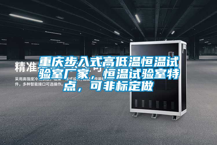 重慶步入式高低溫恒溫試驗室廠家，恒溫試驗室特點，可非標定做