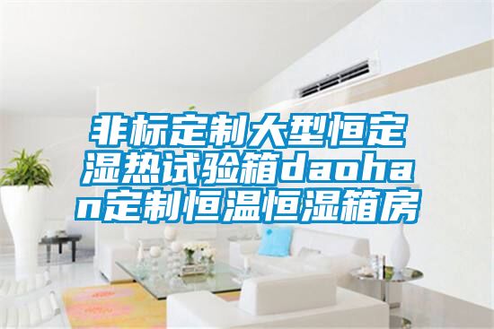 非標(biāo)定制大型恒定濕熱試驗箱daohan定制恒溫恒濕箱房