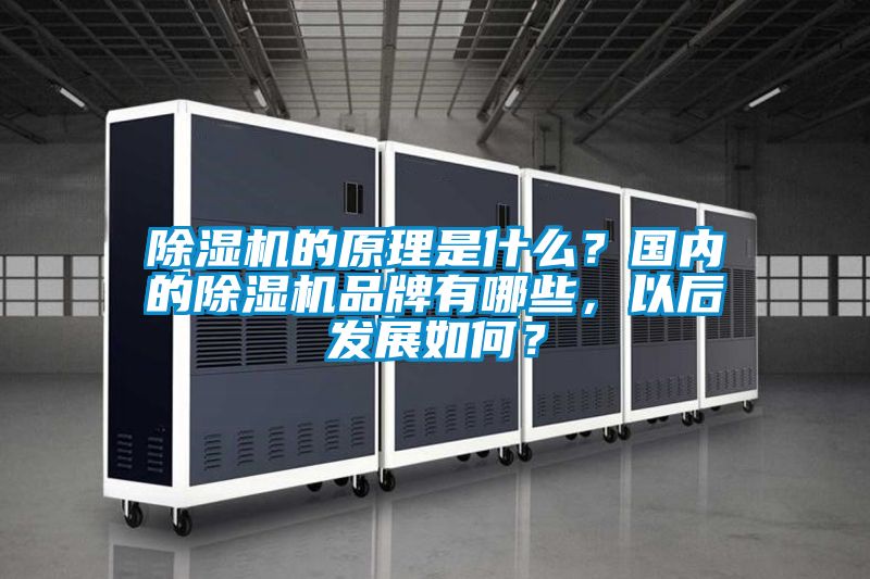 除濕機的原理是什么？國內(nèi)的除濕機品牌有哪些，以后發(fā)展如何？