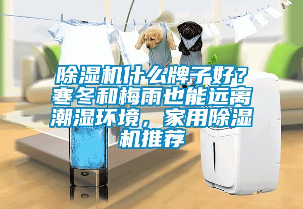 除濕機什么牌子好？寒冬和梅雨也能遠離潮濕環(huán)境，家用除濕機推薦