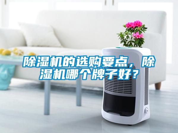 除濕機(jī)的選購(gòu)要點(diǎn)，除濕機(jī)哪個(gè)牌子好？