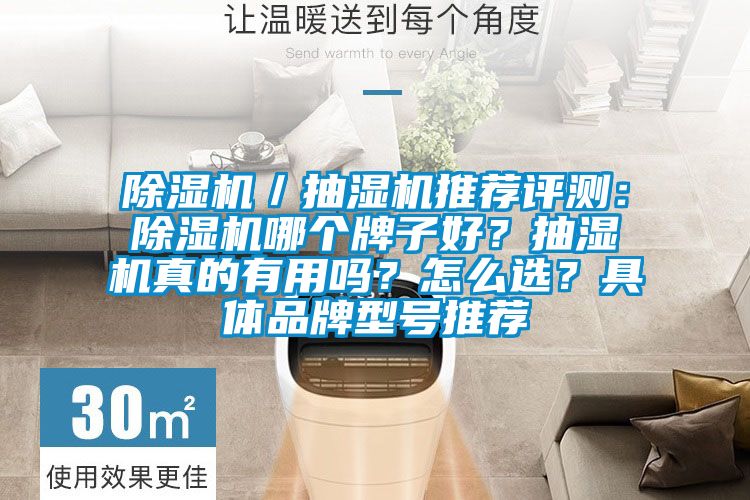 除濕機／抽濕機推薦評測：除濕機哪個牌子好？抽濕機真的有用嗎？怎么選？具體品牌型號推薦