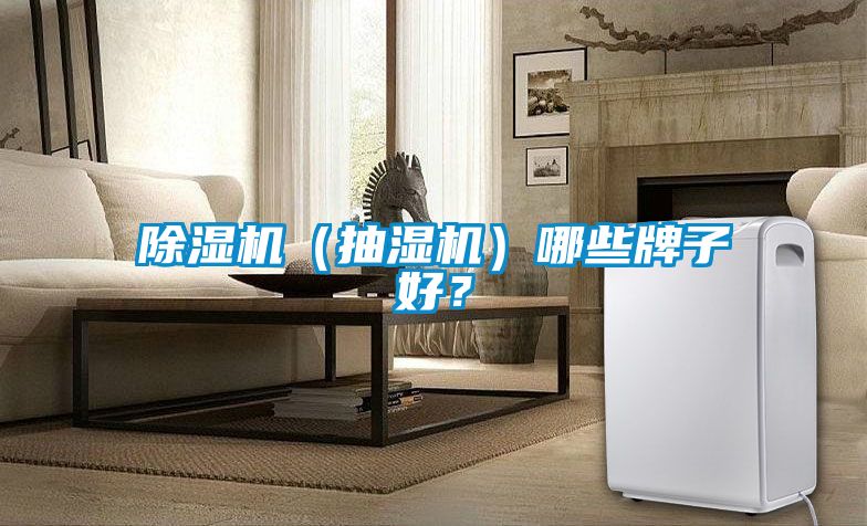 除濕機(jī)（抽濕機(jī)）哪些牌子好？
