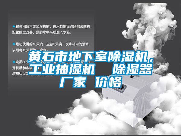 黃石市地下室除濕機(jī)，工業(yè)抽濕機(jī)  除濕器廠家 價格