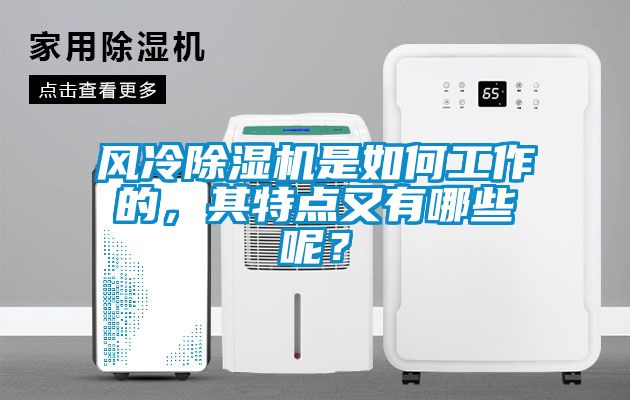 風(fēng)冷除濕機(jī)是如何工作的，其特點(diǎn)又有哪些呢？
