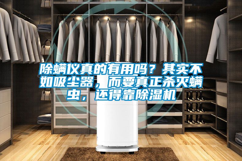 除螨儀真的有用嗎？其實(shí)不如吸塵器，而要真正殺滅螨蟲，還得靠除濕機(jī)
