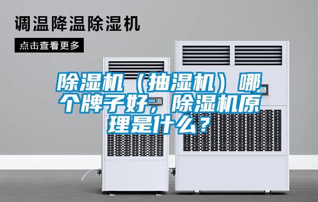 除濕機(jī)（抽濕機(jī)）哪個(gè)牌子好，除濕機(jī)原理是什么？