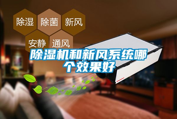 除濕機和新風(fēng)系統(tǒng)哪個效果好