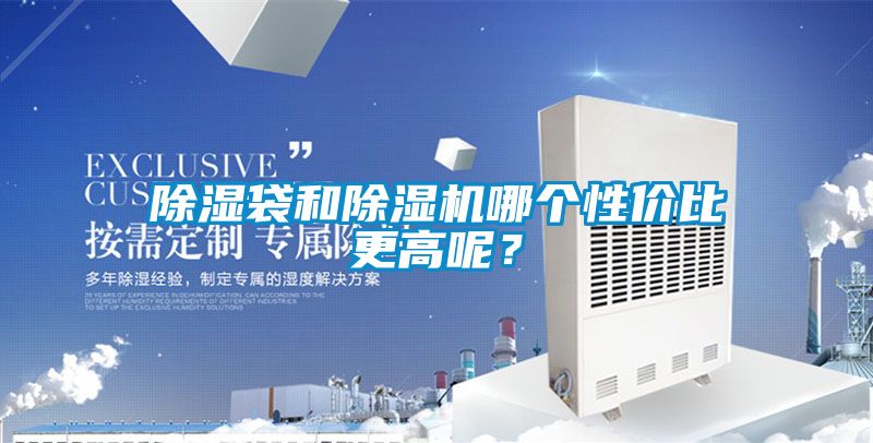 除濕袋和除濕機哪個性價比更高呢？