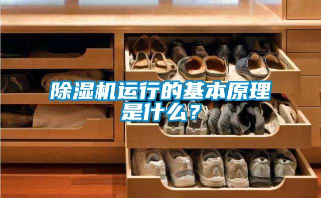 除濕機(jī)運(yùn)行的基本原理是什么？