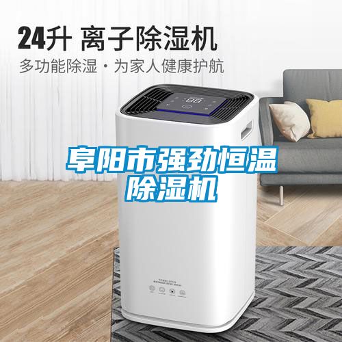 阜陽市強(qiáng)勁恒溫除濕機(jī)
