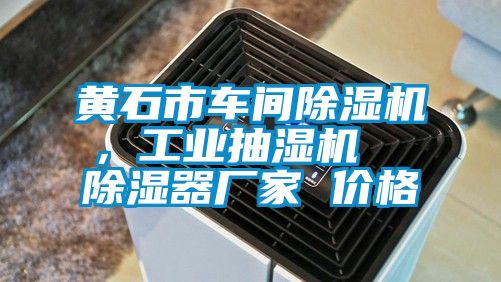黃石市車間除濕機(jī)，工業(yè)抽濕機(jī)  除濕器廠家 價格