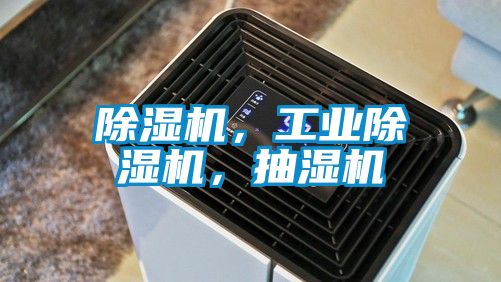 除濕機(jī)，工業(yè)除濕機(jī)，抽濕機(jī)