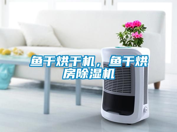 魚(yú)干烘干機(jī)，魚(yú)干烘房除濕機(jī)
