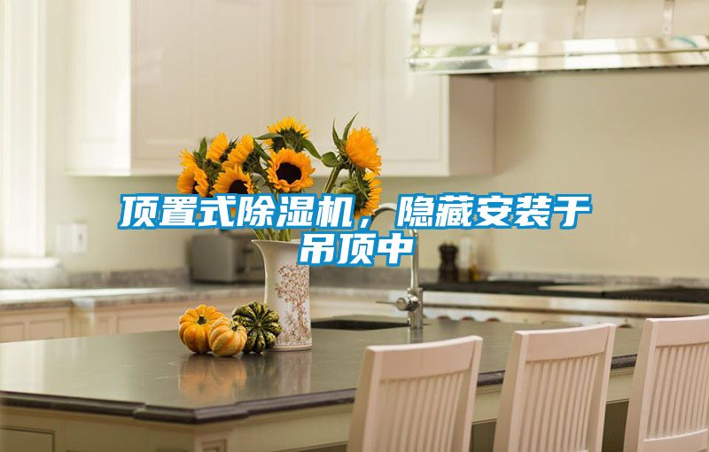 頂置式除濕機(jī)，隱藏安裝于吊頂中