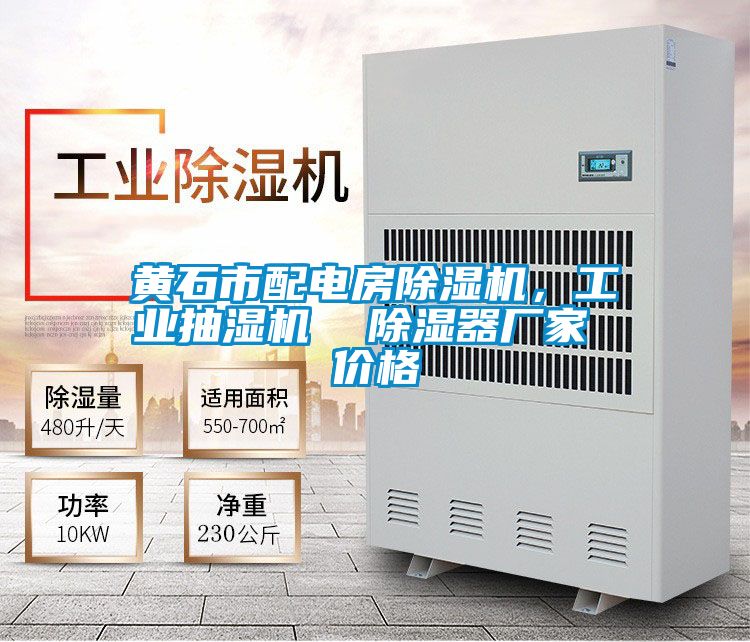 黃石市配電房除濕機(jī)，工業(yè)抽濕機(jī)  除濕器廠家 價格