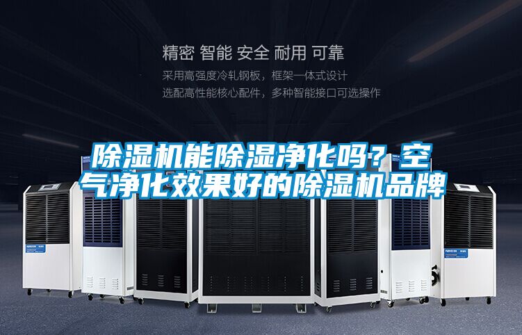 除濕機(jī)能除濕凈化嗎？空氣凈化效果好的除濕機(jī)品牌