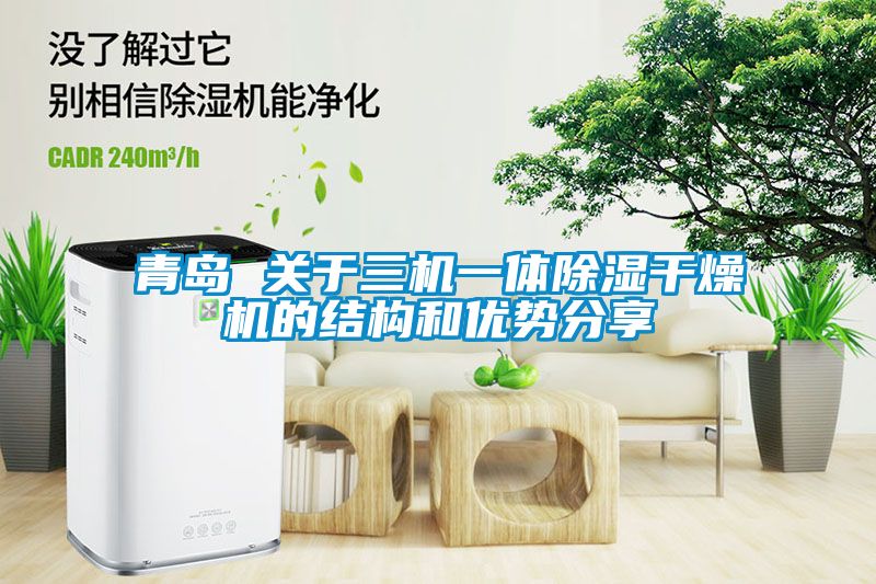 青島 關(guān)于三機(jī)一體除濕干燥機(jī)的結(jié)構(gòu)和優(yōu)勢分享
