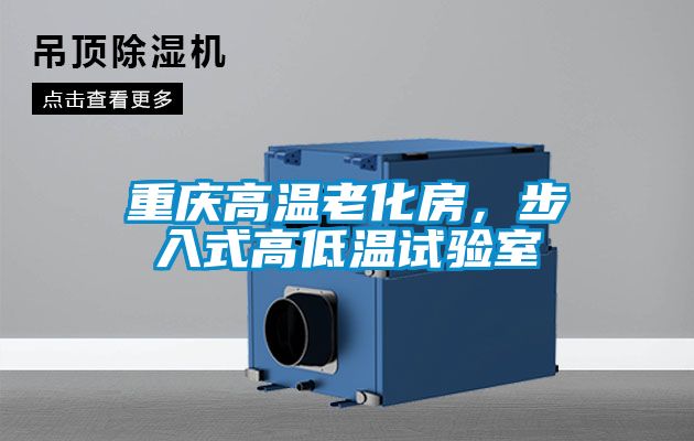 重慶高溫老化房，步入式高低溫試驗室