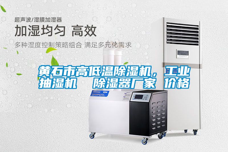 黃石市高低溫除濕機(jī)，工業(yè)抽濕機(jī)  除濕器廠家 價格