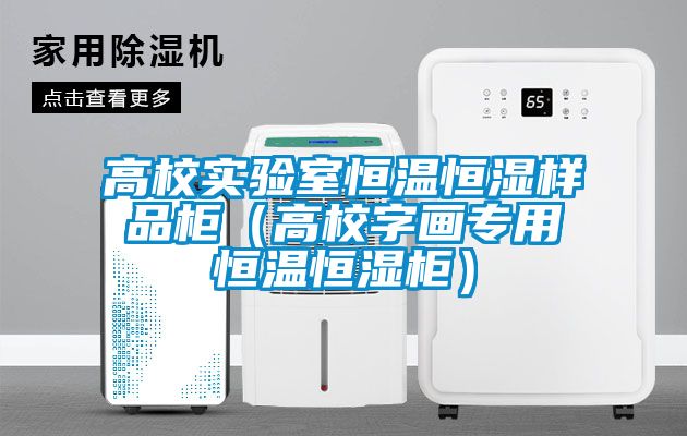 高校實(shí)驗(yàn)室恒溫恒濕樣品柜（高校字畫專用恒溫恒濕柜）